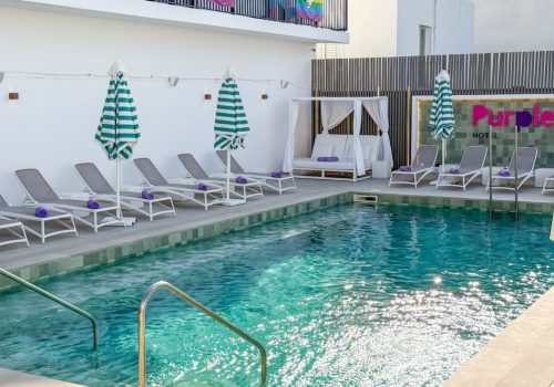 The Purple The Purple